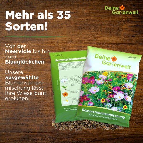Sommerblumenwiese Blumenmischung 100 g Samen von Deine Gartenwelt