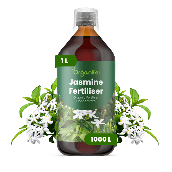 Organifer Jasmin-Dünger, organisches Konzentrat in einer 1-Liter-Flasche, ergibt 1000 Liter Dünger, mit Messkappe.
