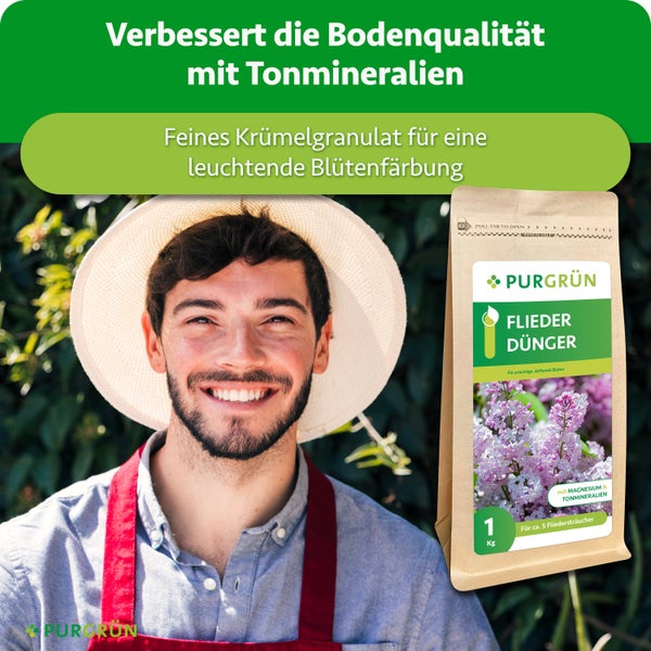 Ein Gärtner mit Hut neben einer Packung Purgrün Fliederdünger mit Tonmineralien für prächtige Blüten.