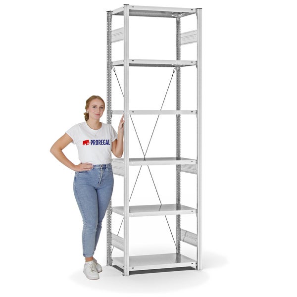 PROREGAL Fachbodenregal Stecksystem T-Profil Heavy-Duty Grundregal HxBxT 250 x 75 x 40 cm 6 Ebenen Fachlast 300 kg Einseitig Nutzbar Lichtgrau