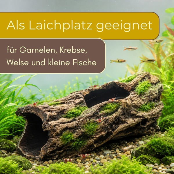 Aquarium-Dekoration hohler Baumstamm mit Moos, geeignet als Laichplatz für Garnelen, Krebse, Welse und kleine Fische.