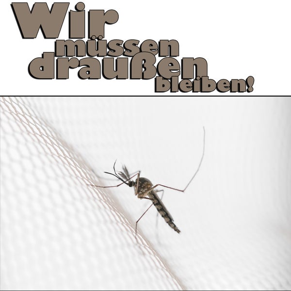 Eine Mücke sitzt auf einem Moskitonetz, darüber der Text: Wir müssen draußen bleiben!