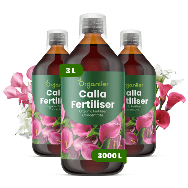 Drei Flaschen Organifer Calla Dünger, organisches Düngerkonzentrat für Calla-Pflanzen, 3 Liter Gesamtmenge.