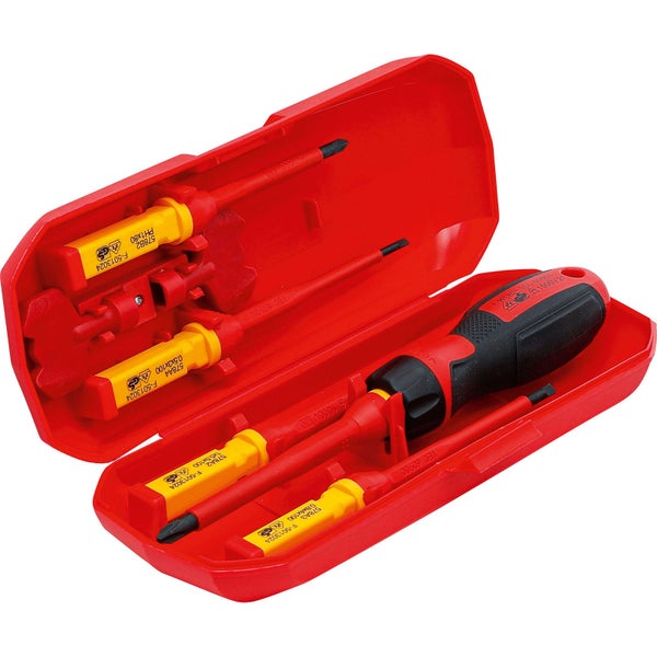 Schraubendrehersatz mit verschiedenen Schraubendrehern in rotem Gehäuse