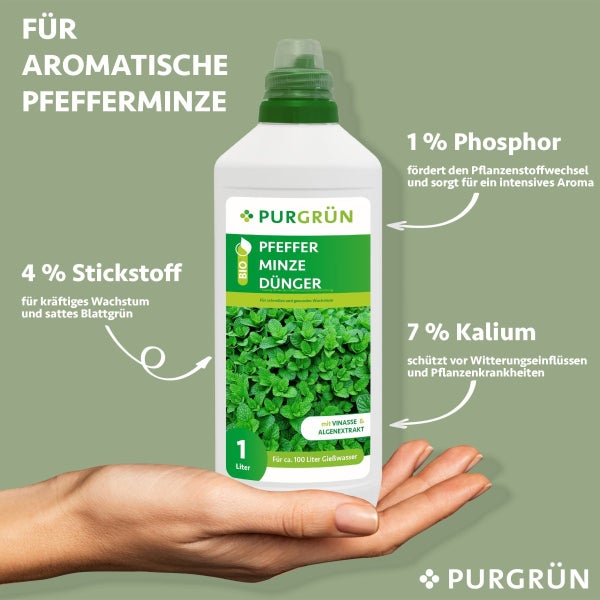Purgrün Bio-Pfefferminze-Dünger 1 Liter