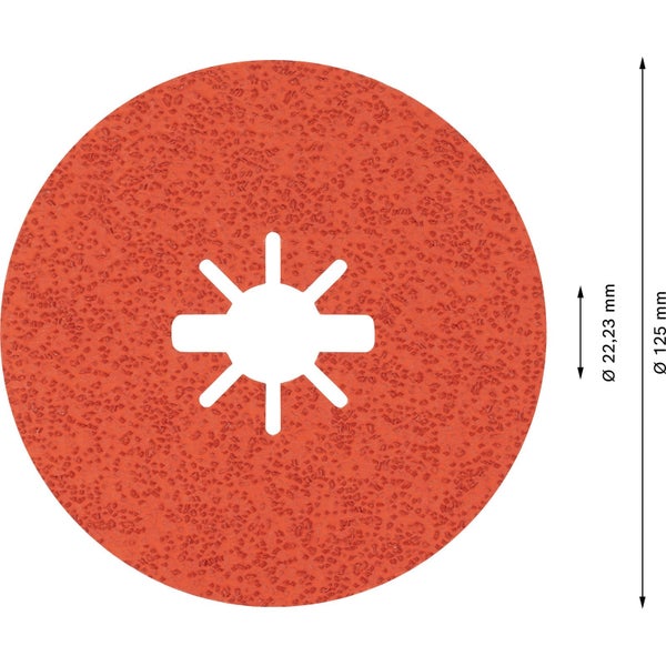 Schleifscheibe, 125 mm Durchmesser