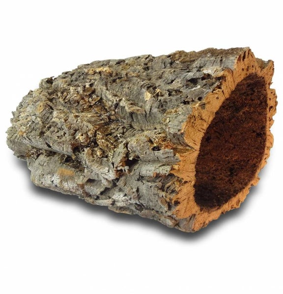 Korkröhre als Naturprodukt für Terrarien mit strukturierter Korkrinde.