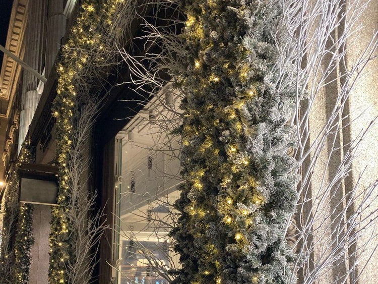 Festliche Weihnachtsdekoration mit künstlicher Tannengirlande und Lichterkette um einen Türbogen, ergänzt durch weiße, unbelaubte Zweige.