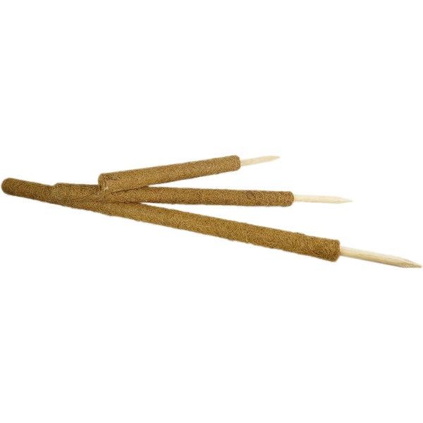 Kokosstäbe zur Pflanzenunterstützung, Rankstäbe mit Kokosfaser-Ummantelung und Holzspitze.