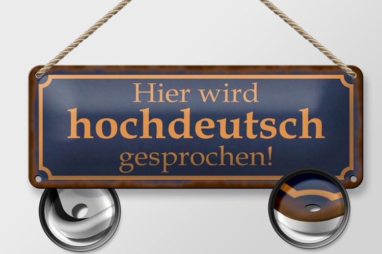 Blechschild Spruch 27x10cm hier wird hochdeutsch gesprochen Dekoration