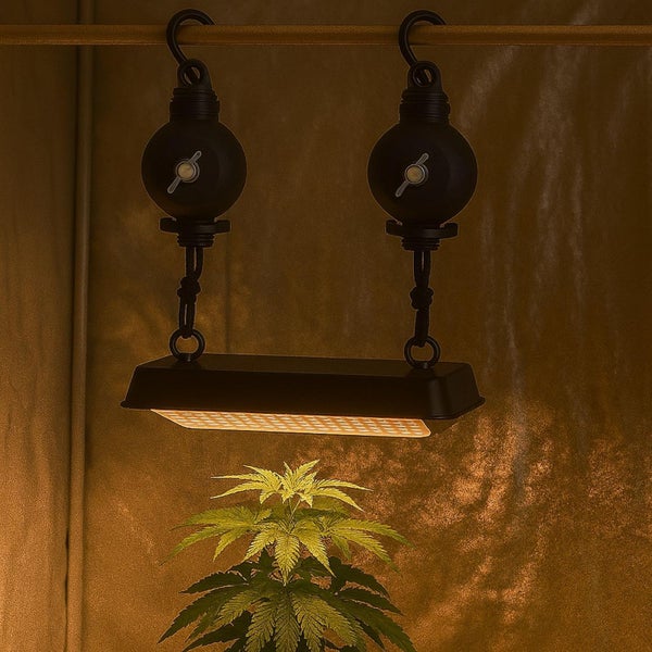 LED Pflanzenlampe an höhenverstellbaren Seilzügen über einer grünen Pflanze in einem Growzelt.
