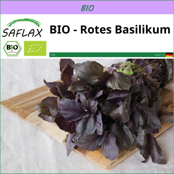 SAFLAX  - BIO - Rotes Basilikum - Ocimum basilicum - 400 Samen