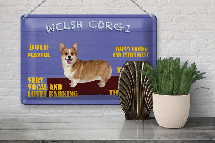 Blechschild Spruch 30x20cm Welsh Corgi Hund bold playful