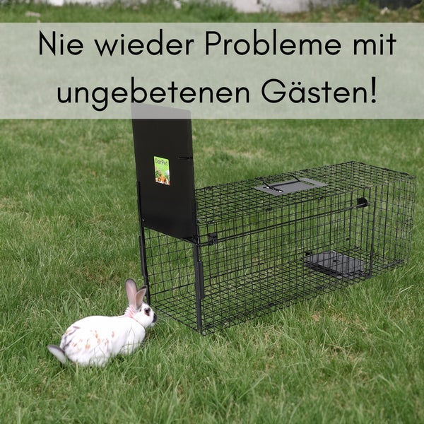 Lebendfalle für Tiere mit Kaninchen auf Rasen