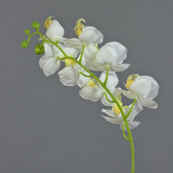 Künstlicher Phalaenopsis-Orchideenzweig mit weißen Blüten und grünen Knospen.