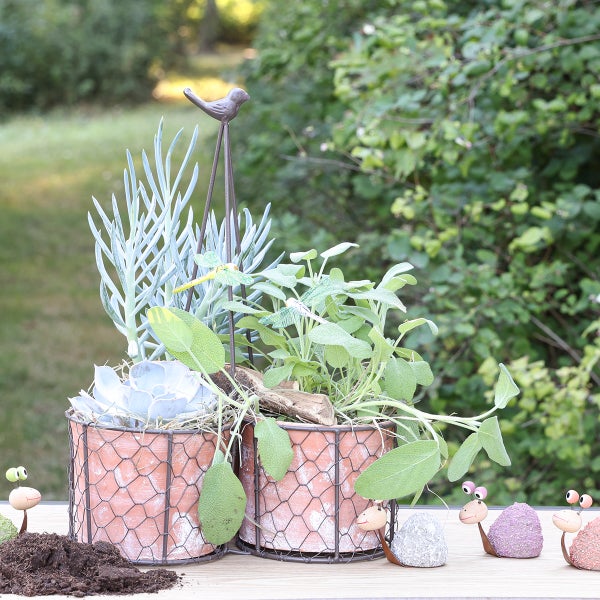 Dekorative Pflanzgefäße mit Pflanzen und Schneckenfiguren für den Garten