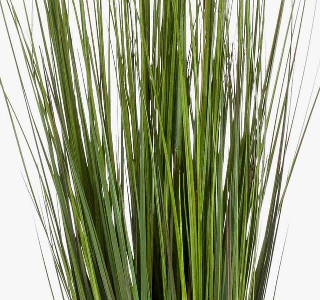 Künstliches Dekogras im schwarzen Topf mit grünen Halmen und hellen Blütenähren