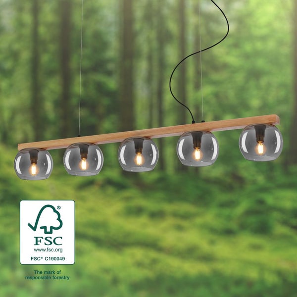 Pendant lamp, with wood, smoked glass, 5xE14/max.1
