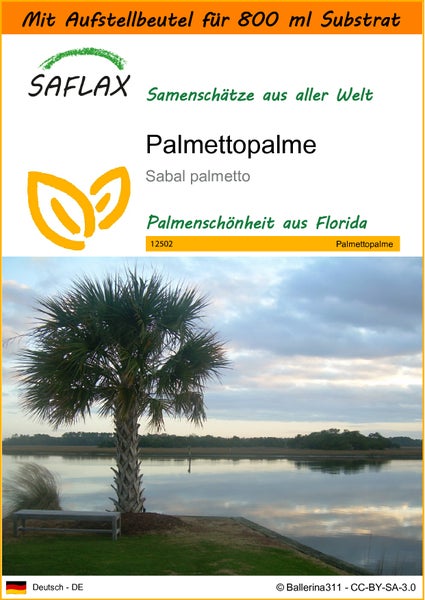 SAFLAX Garden in the bag - Palmettopalme - Sabal palmetto - 8 Samen - Mit Anzuchtsubstrat im praktischen, selbst aufstellenden Beutel