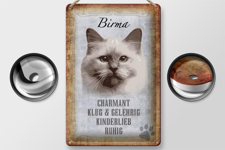 Blechschild Spruch 20x30cm Birma Katze klug Schild