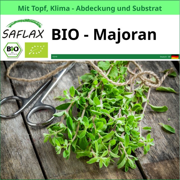 SAFLAX Garden to go - BIO - Majoran - Origanum majorana - 700 Samen - Mit Topf, Klima - Deckel und Anzuchtsubstrat