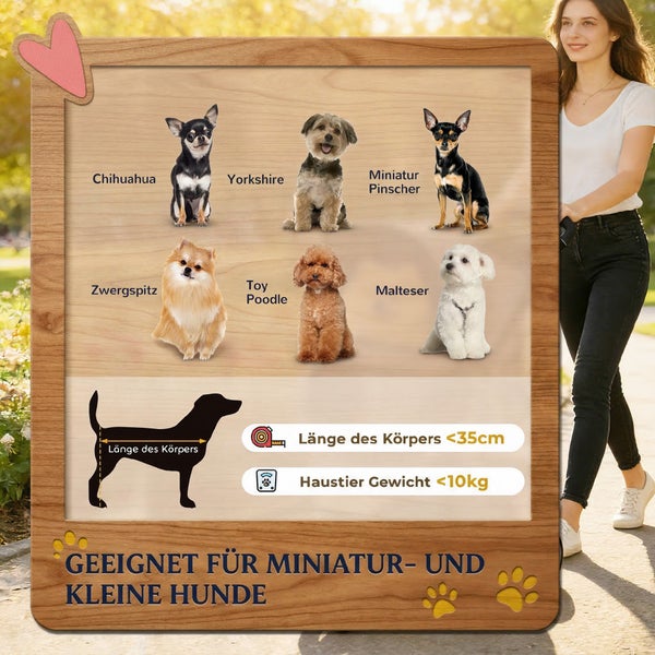 Infografik für kleine Hunde und Miniaturhunde mit Rassenbeispielen, Körperlänge unter 35 Zentimeter und Gewicht unter 10 Kilogramm.