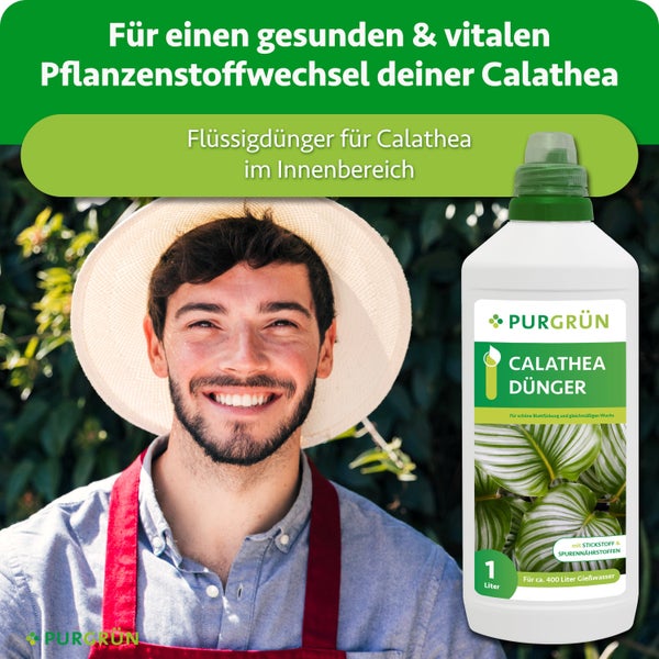 Eine Flasche Purgrün Calathea Dünger, ein flüssiger Spezialdünger für Zimmerpflanzen, präsentiert vor einem lächelnden Gärtner mit Strohhut.