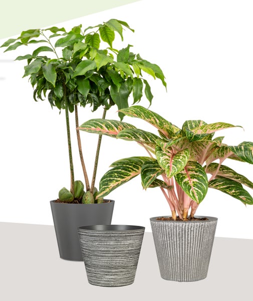 Helles Schlafzimmer mit floraler Tapete, Bett und geöffneter Tür