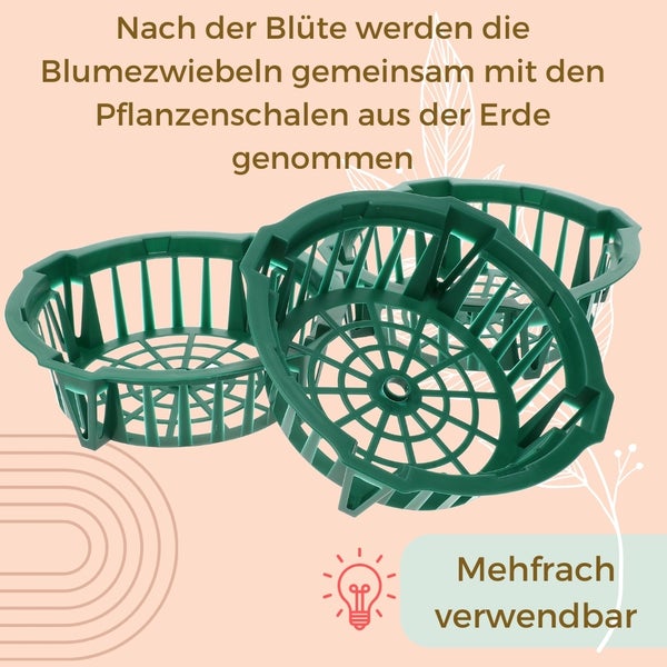Pflanzkörbe für Blumenzwiebeln Pflanzkorb Blumenzwiebeln Pflanzkörbe für Tulpen Zwiebelpflanzschale Herbstpflanzung Blumenzwiebelschale ø 22 cm 3 St.
