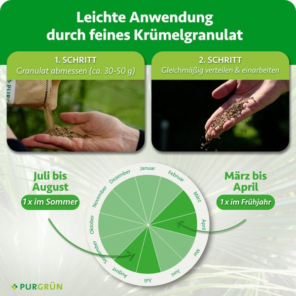 Anwendungshinweise und Düngekalender für Purgrün Granulat mit Schritt für Schritt Anleitung zur Ausbringung im Frühjahr und Sommer.
