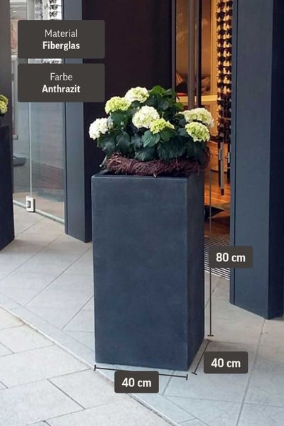 Hoher quadratischer Pflanzkübel aus Fiberglas in Anthrazit, 40 mal 40 mal 80 Zentimeter, bepflanzt mit weißen Hortensien vor einem Eingang.
