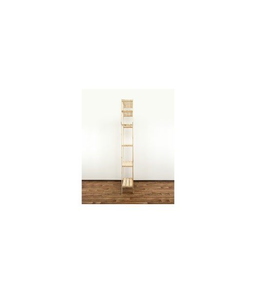 PROREGAL Holzregal Woodland HxBxT 230 x 80 x 30 cm Fachlast 120 kg 6 Fachboden Kiefernholz Natur