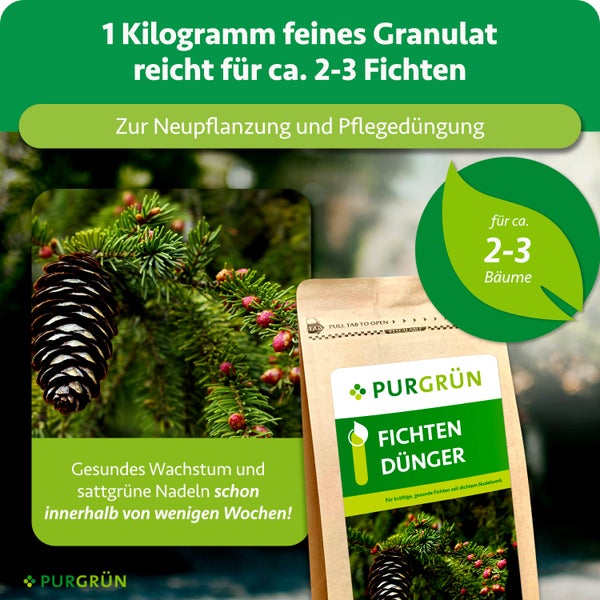Purgrün Fichtendünger 1 Kilogramm feines Granulat für circa 2 bis 3 Fichten zur Neupflanzung und Pflegedüngung.