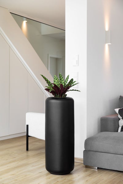 Hohes schwarzes zylindrisches Pflanzgefäß mit einer Calathea in einem modernen Wohnzimmer mit hellem Boden und grauem Sofa.