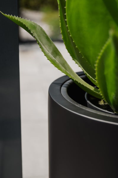 Moderner runder Pflanzkübel in Anthrazit mit einer Agave auf einer Terrasse.