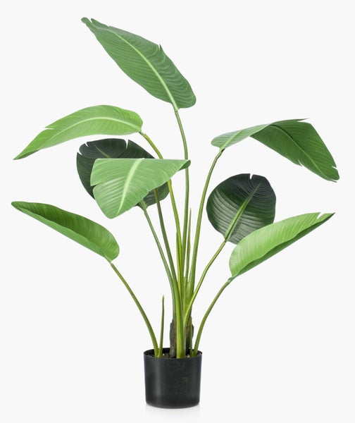 Künstliche Strelitzia Pflanze in einem schwarzen Topf mit großen grünen Blättern.