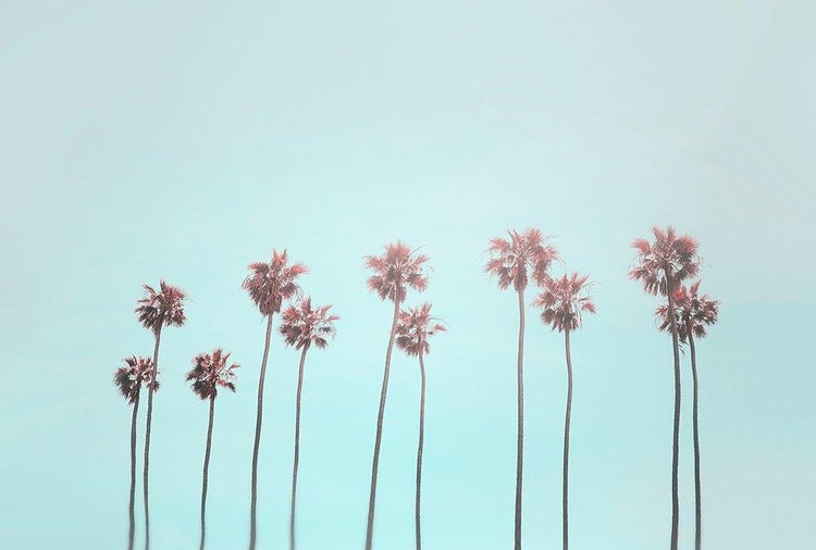 Wandbild mit mehreren hohen Palmen in minimalistischem Stil vor hellem Hintergrund.