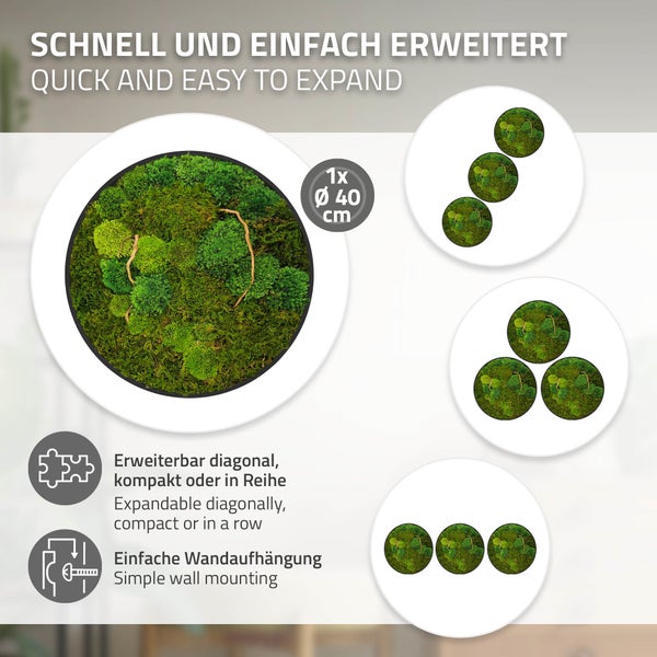 Rundes Moosbild mit 40 Zentimeter Durchmesser zur Wanddekoration, erweiterbar für verschiedene Anordnungen, inklusive einfacher Wandaufhängung.