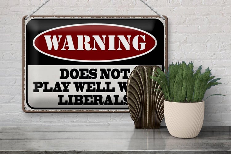 Blechschild Spruch 30x20cm Warning does not play well with