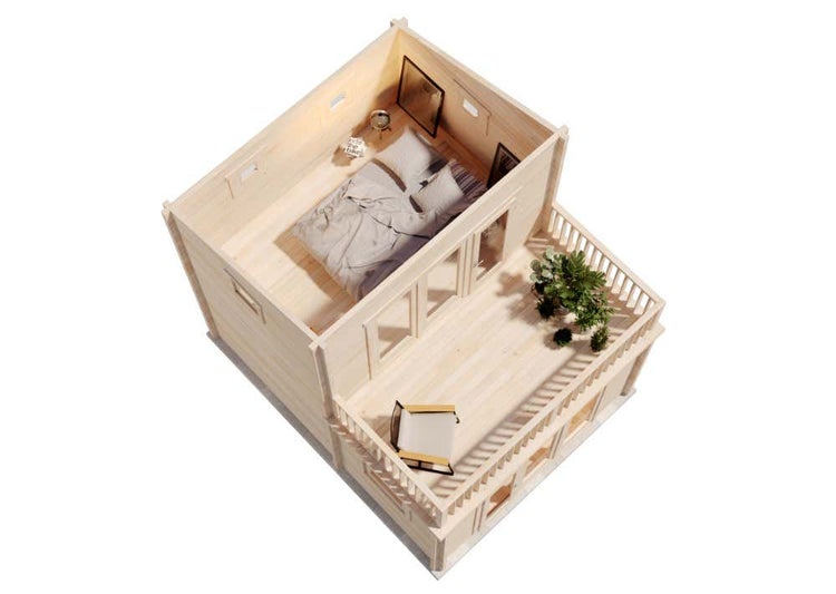 Nahaufnahme eines Mammutblatts in einem Pflanzgefäß.