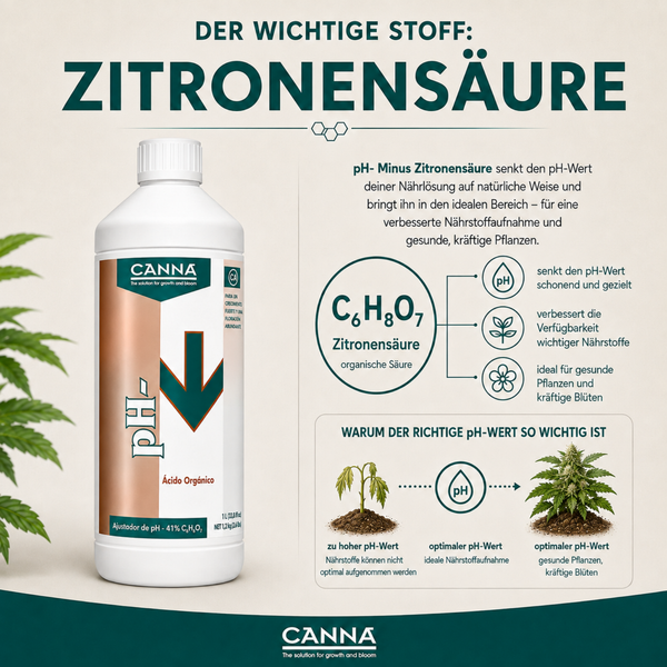 Infografik zu Canna pH Minus Zitronensäure, einem organischen pH Regulierer zur Senkung des pH Wertes in der Nährlösung für gesunde Pflanzen.