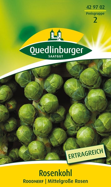 Quedlinburger Saatgut Rosenkohl Roodnerf Samen, ertragreiche Sorte mit mittelgroßen Rosen.