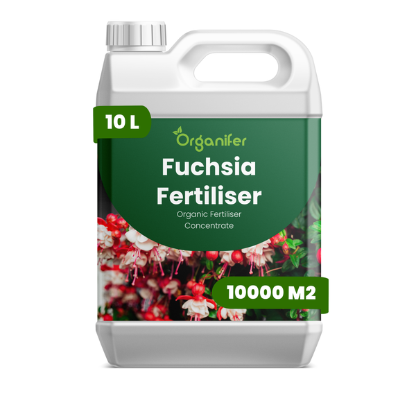 Drei Flaschen Organifer Weihnachtskakteendünger, organisches Düngerkonzentrat, 3 Liter Inhalt ausreichend für 3000 Liter Gießwasser.