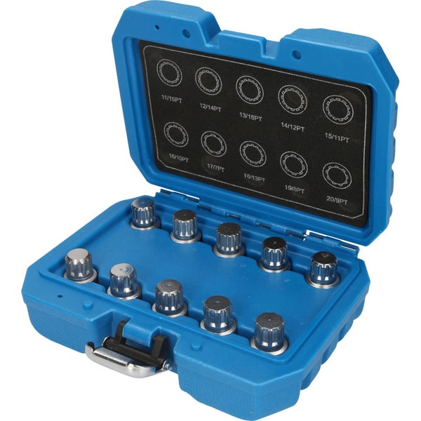 Satz mit zehn Knopfbatterien in blauer Aufbewahrungsbox