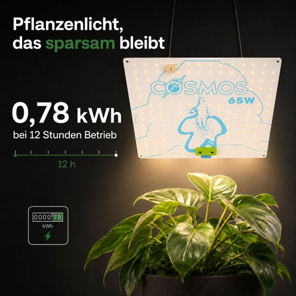 LED-Pflanzenlampe Cosmos 65 Watt über einer Pflanze, Angabe zum Energieverbrauch von 0,78 Kilowattstunden bei 12 Stunden Betrieb.