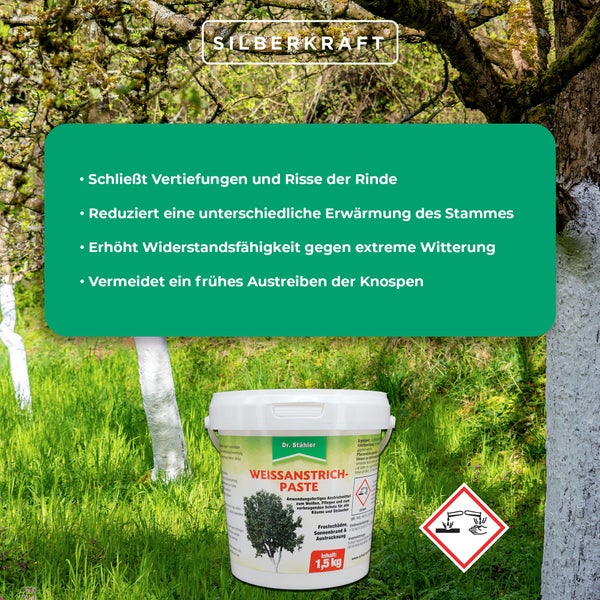 Weißanstrichpaste für Bäume & Sträucher – Schutzanstrich gegen Frostrisse, Sonnenbrand & Rindenschäden – Für Obstbäume, Ziergehölze & Jungbäume – Anwendungsfertig