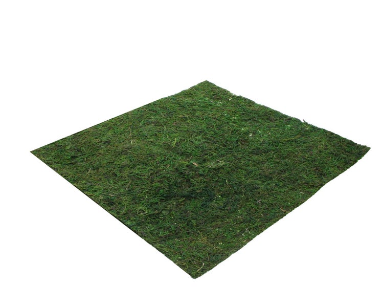 FRANK FLECHTWAREN | Matte Moos, NATURMOOS, TEXTIL, 45 x 40 cm, Stückpreis