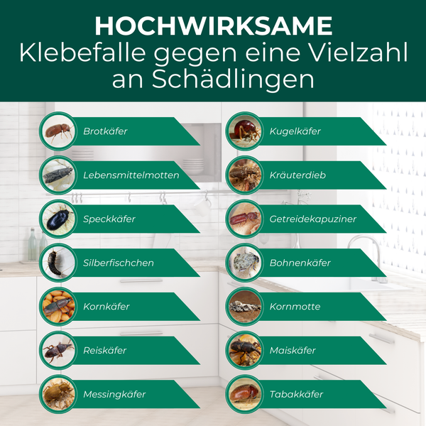 Klebefalle zur Schädlingsbekämpfung zeigt verschiedene Schädlinge wie Brotkäfer, Kugelkäfer, Lebensmittelmotten, Kräuterdieb, Speckkäfer, Getreidekapuziner, Silberfischchen, Bohnenkäfer, Kornkäfer, Kornmotte, Reiskäfer, Maiskäfer, Messingkäfer und Tabakkäfer