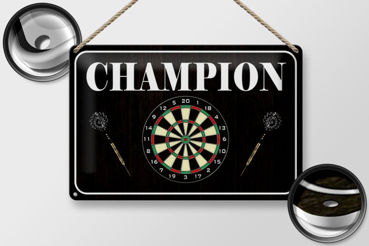 Blechschild Spruch 30x20cm Darts Champion