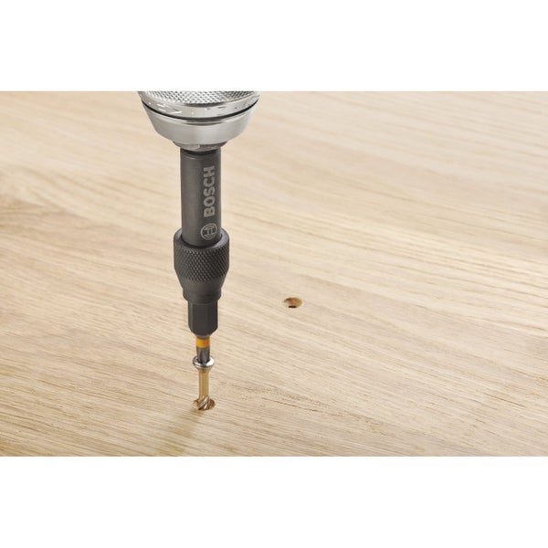 Bosch Logo, Bithalter und Schraube auf Holzbrett